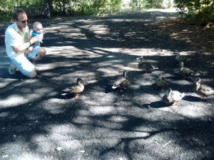 Our most favorite ducks ever with Dean and Papa